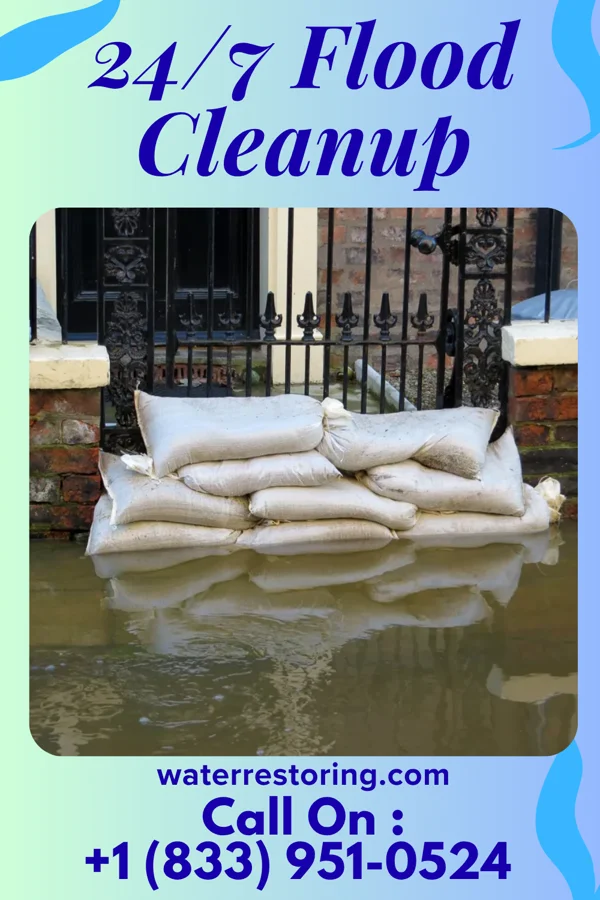 24/7 Flood Cleanup in Bayou Blue, LA