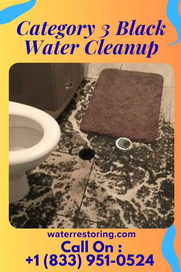 Category 3 Black Water Cleanup in Bayou Blue, LA