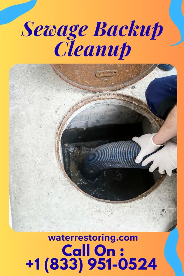 Sewage Backup Cleanup in Bayou Blue, LA