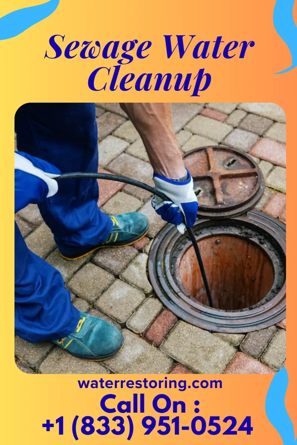 Sewage Water Cleanup in Bayou Blue, LA
