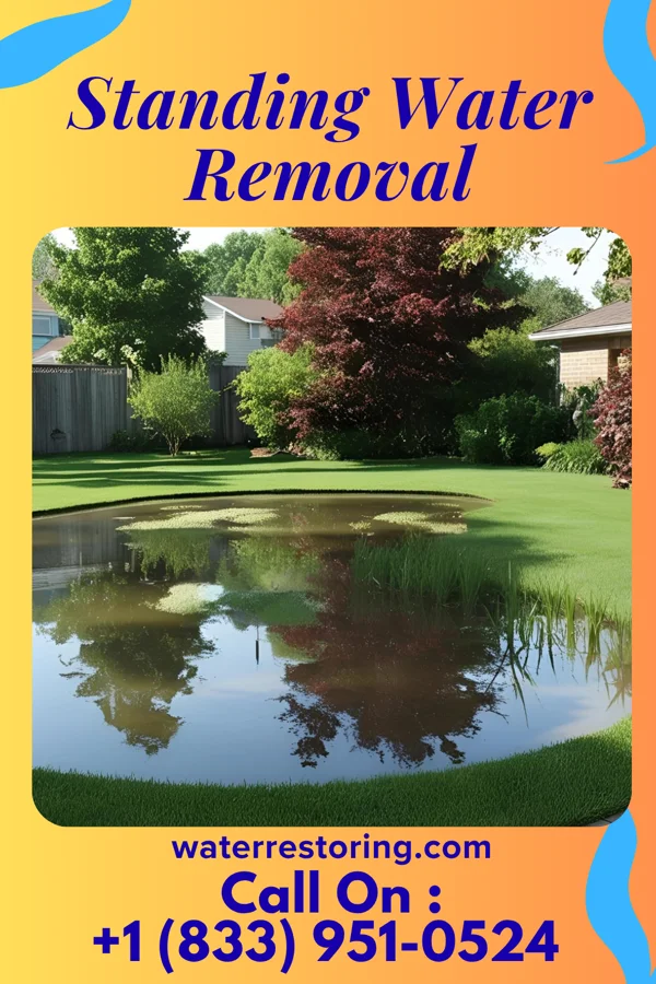 Standing Water Removal in Bayou Blue, LA